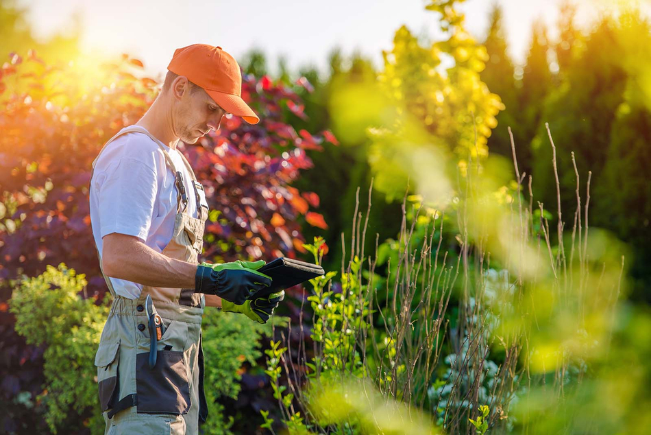 lawn-care-video.jpg