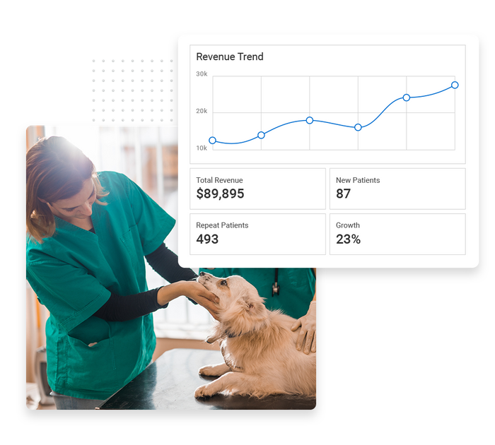A veterinarian treating a dog overlaid with a revenue trend graph veterinarian performance monitoring