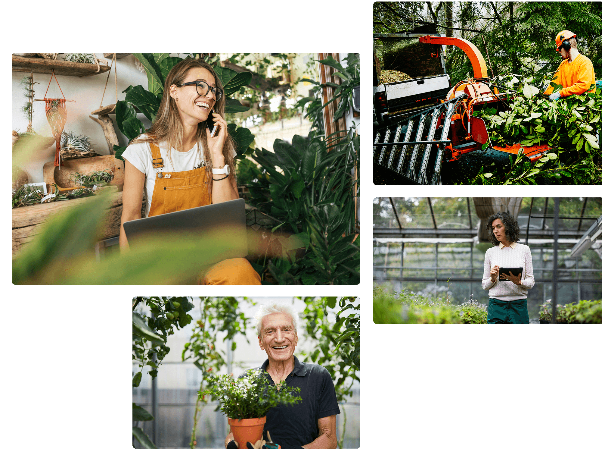 Landscaper marketing