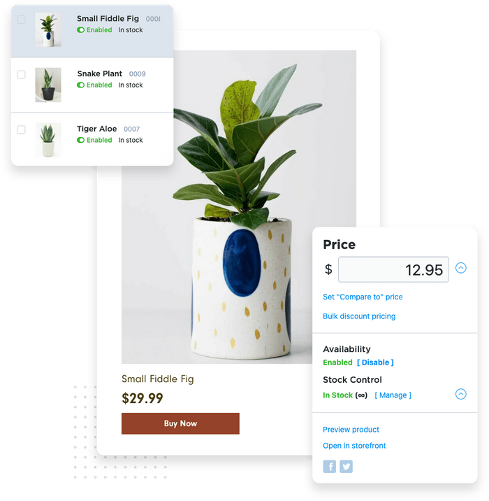 Potted plant product page overlaid with inventory information and price detail editor Fiddle fig e-commerce product page